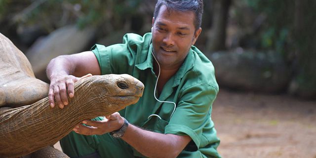 Crocodile giant tortoises park nature reserve (17)